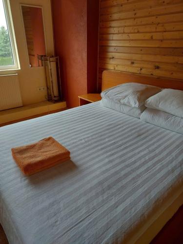 z6774247992655_d466209c4d8348e0522883ce523dbe37